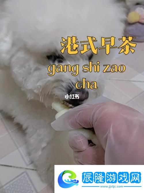 狗和人膠配方大全高清圖片：探索寵物與人類的完美結合