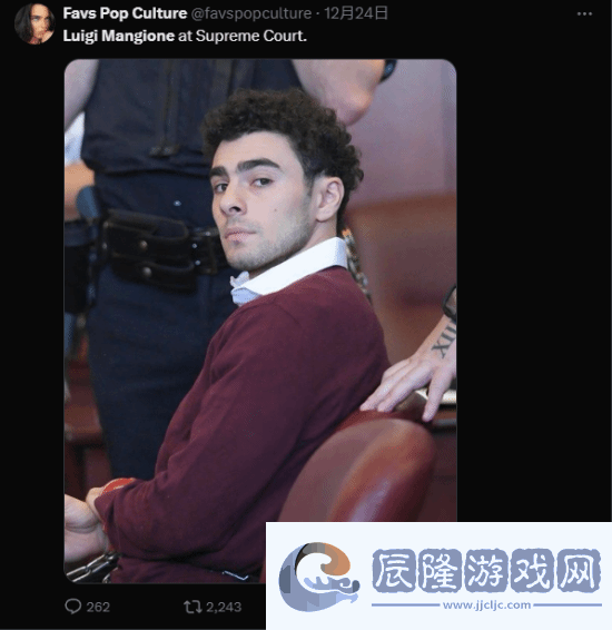 槍殺醫保巨頭CEO嫌犯顏值出圈