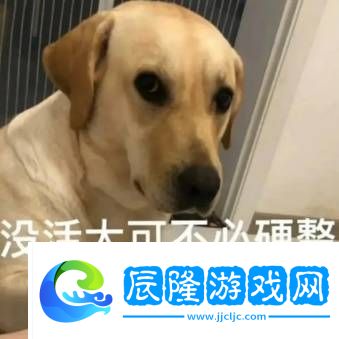 極品全靠爆回城就換錢(qián)