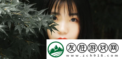 待會見安卓版下載