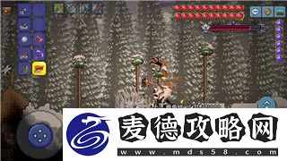 麻布仔大冒險攻略第三關
