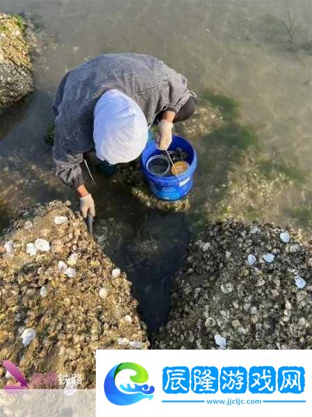 趕海新體驗