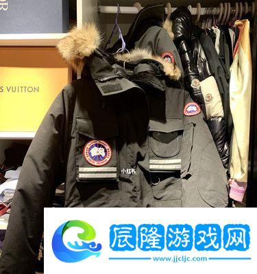 鵝鴨殺刀到加拿大鵝發(fā)言攻略（游戲攻略、技巧分享和心得體會(huì)）