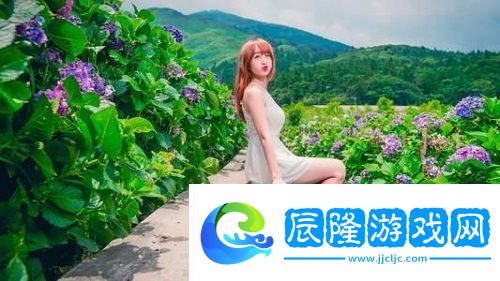 成品網站1.1.719的模塊解析