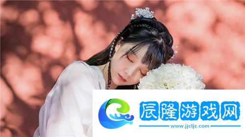 成品網站1.1.719的模塊解析