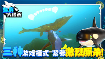 無期迷途人物圖鑒在哪里看的詳細介紹及其相關(guān)資源全解析