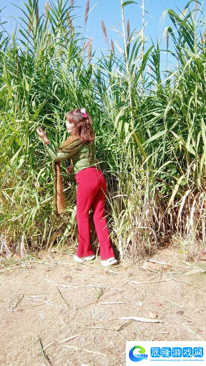 為何花溪村留守女人成為話題焦點-她們的生活現狀如何