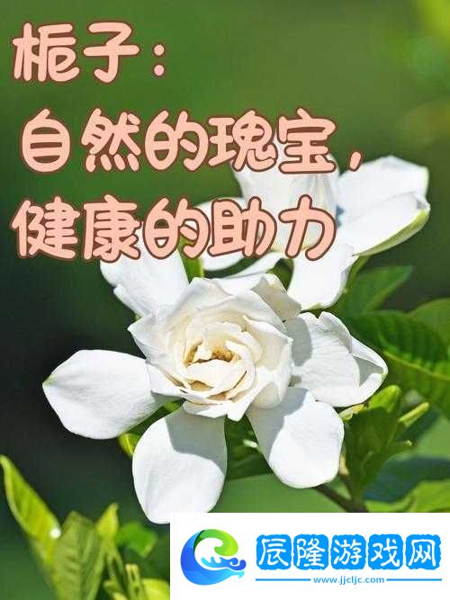 探索健康與自然的奧秘