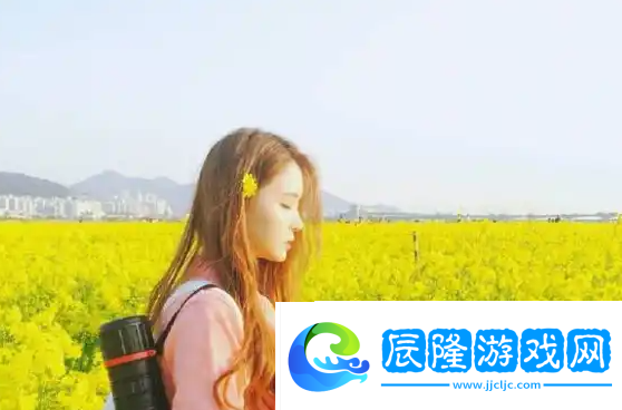 俱樂部輪換游戲2：使用體驗與安全隱患的雙重考量