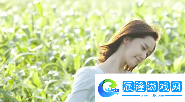 高柳嫁家動(dòng)漫1~4：深入探討這兩個(gè)區(qū)域的特別之處