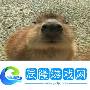 抖音水豚精神癥狀是什么梗