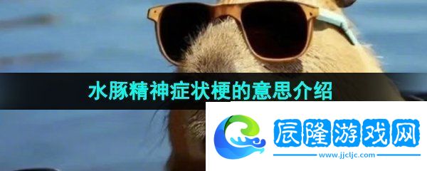 抖音水豚精神癥狀是什么梗-水豚精神癥狀梗的意思介紹