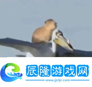 抖音水豚精神癥狀是什么梗